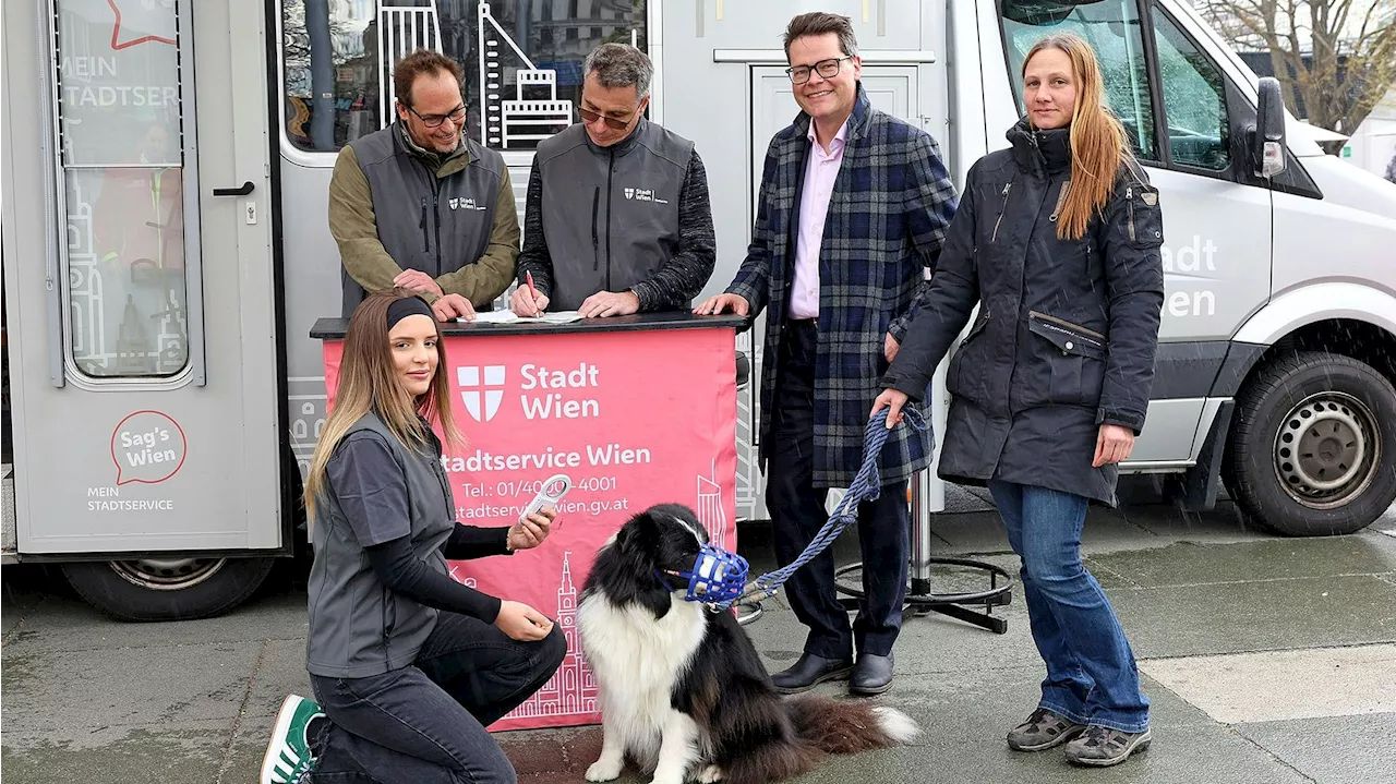  Bello, wo wohnst du? Hunde registrieren leicht gemacht