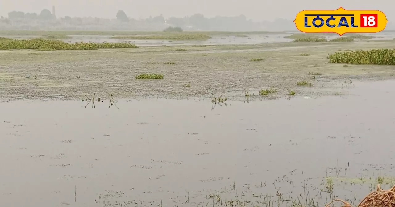 भोज ताल से कम नहीं यूपी का ये ताल, कभी किसान तो कभी मछुवारे होते हैं मालामाल