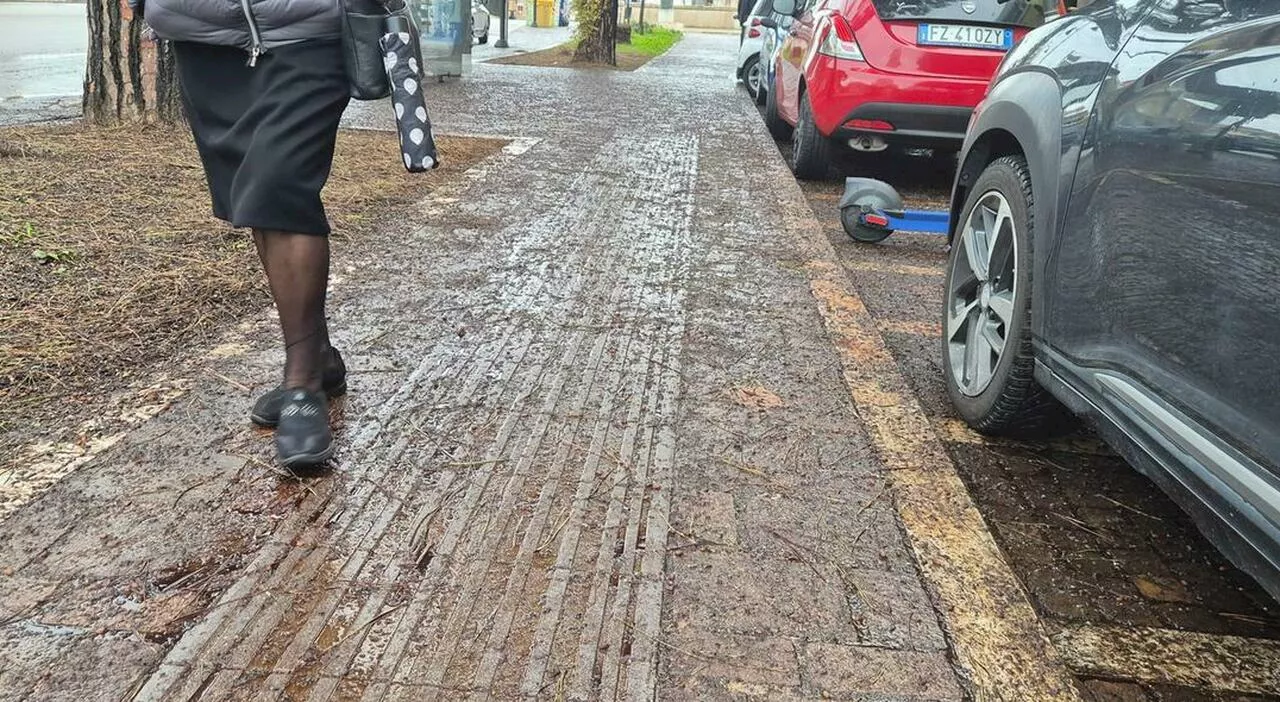 Proteste per il guano che invade le strade: «Il Comune intervenga»