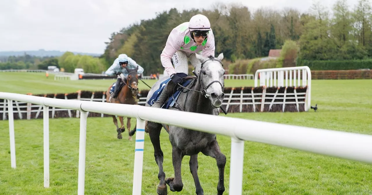 Fairyhouse tips: Peter O'Hehir's selections for Hatton’s Grace Hurdle day