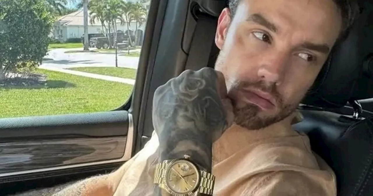 Liam Payne's Missing Rolex After Escort Incident