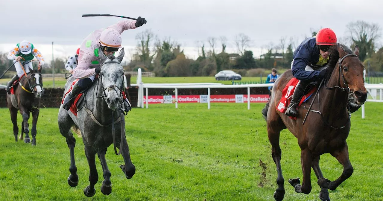 Naturally Nimble Upsets Willy De Houelle in Irish Juvenile Hurdle