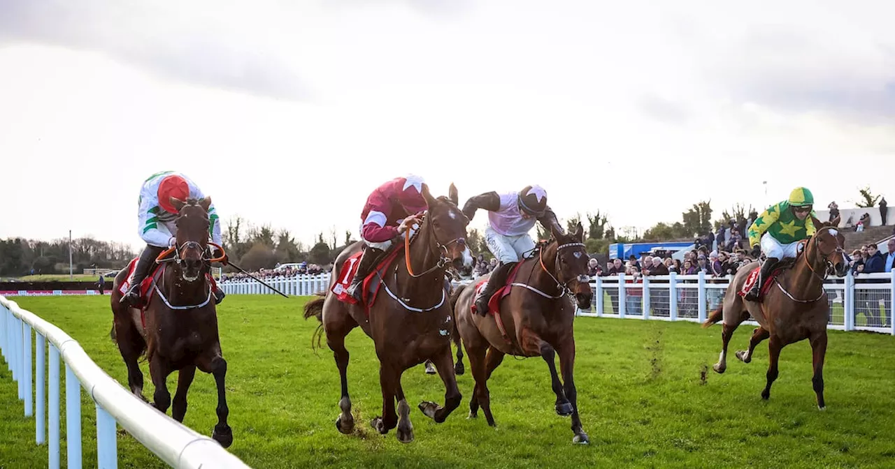 Fortune favours Sam Ewing who guides 22-1 outsider Croke Park to Grade One glory