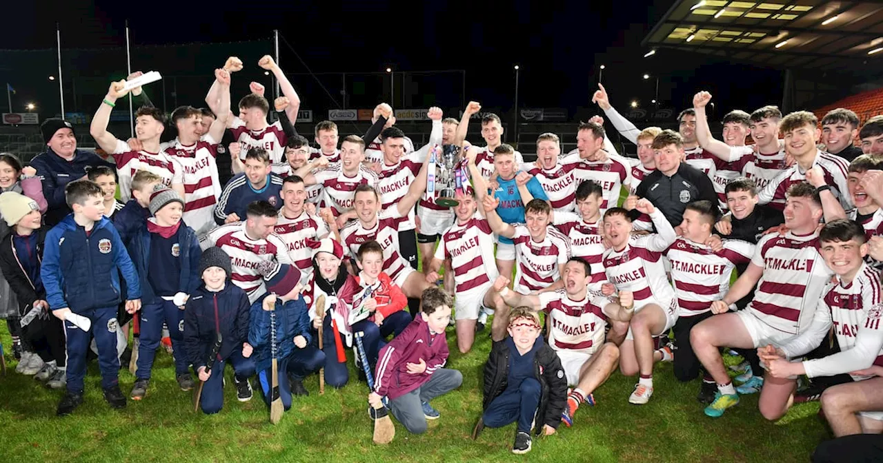 Slaughtneil power home to dash Portaferry’s hopes of Ulster hurling glory