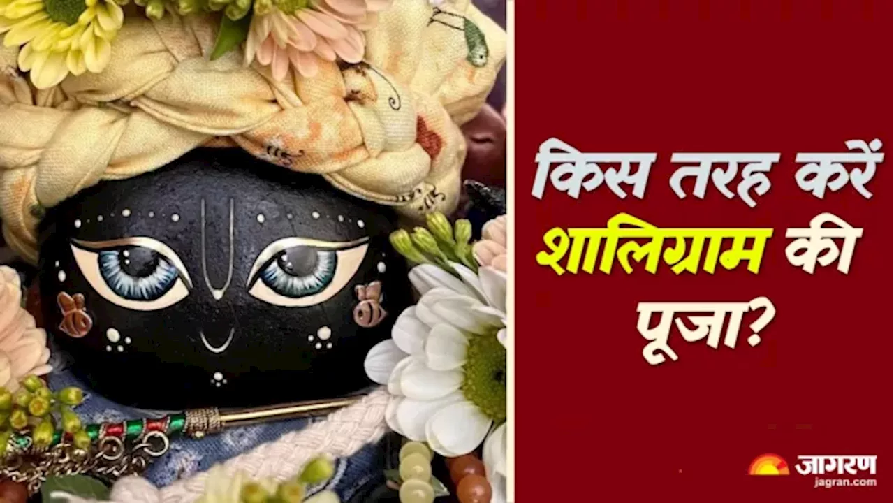 Shaligram Puja: नहीं हो पा रही शालिग्राम की पूजा, तो अशुभ परिणामों से बचने के लिए करें ये काम