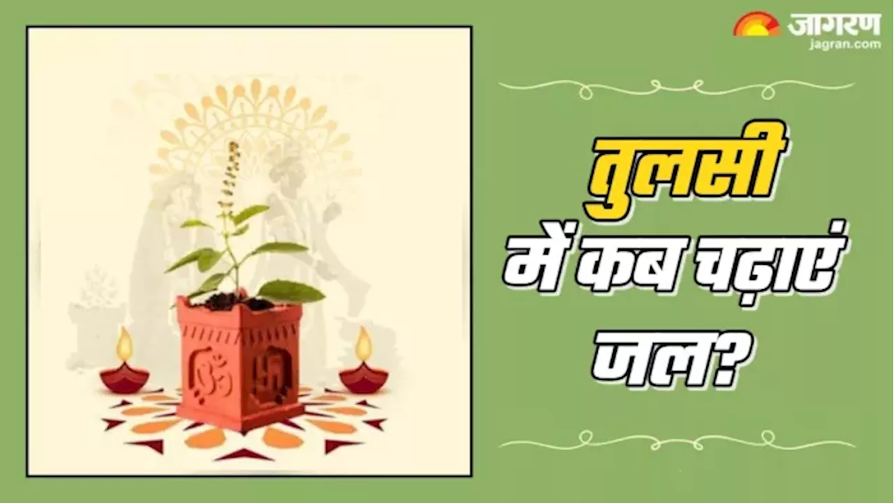 Tulsi Puja Niyam: तुलसी में किस दिन जल चढ़ाएं जल, इन बातों का रखें खास ख्याल