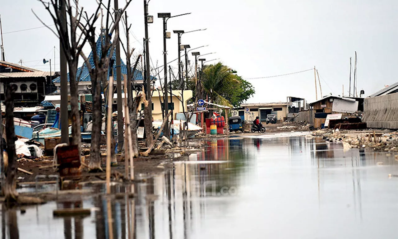 Banjir Rob Setinggi 40 Sentimeter Merendam Satu RT di Wilayah Jakarta Utara