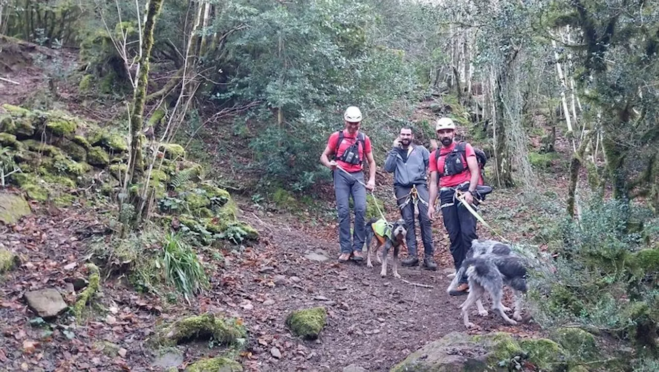 Trois chiens sauvés par les sapeurs-pompiers, après une partie de chasse à Siguer, en Ariège