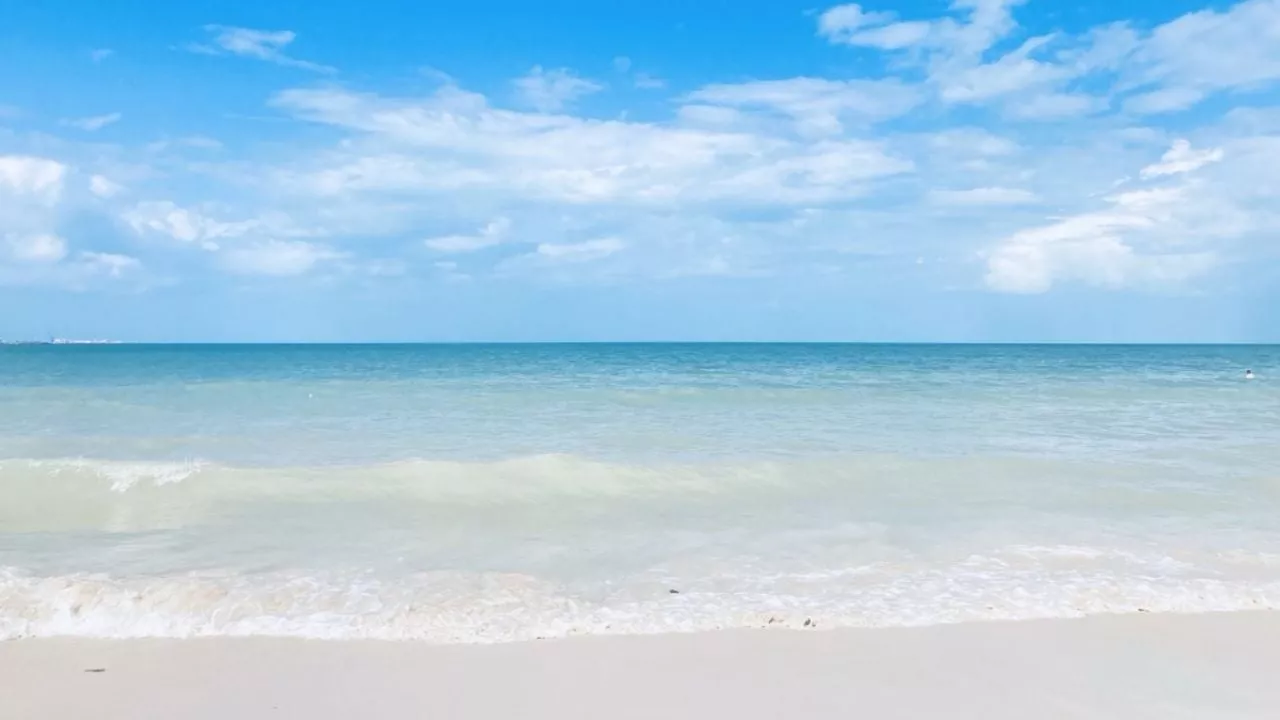 Las Playas Más Limpias en México Durante la Temporada Invernal