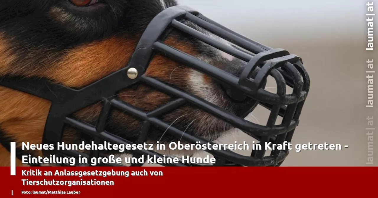 Neues Hundehaltegesetz in Oberösterreich in Kraft Getreten