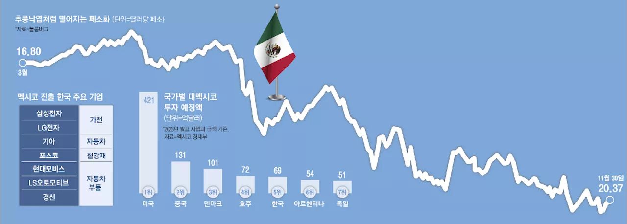 트럼프의 관세 압박에 멕시코 페소화 가치 폭락, 한국 기업들도 타격