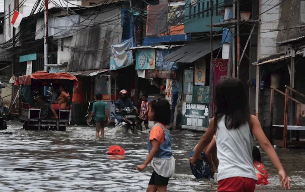 Pluit Kembali Diterjang Rob, BPBD DKI Targetkan Banjir Surut Secepatnya