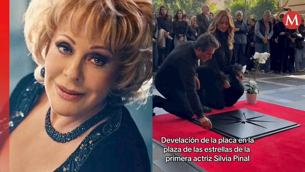 'Oportunistas'; TUNDEN al programa HOY por develar placa de Silvia Pinal hasta su muerte y SIN sus hijos