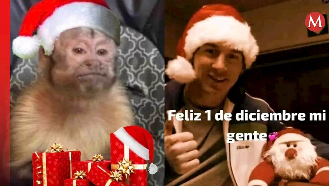 'Ya es navidad'; Estos son los mejores MEMES por la llegada de DICIEMBRE 2024