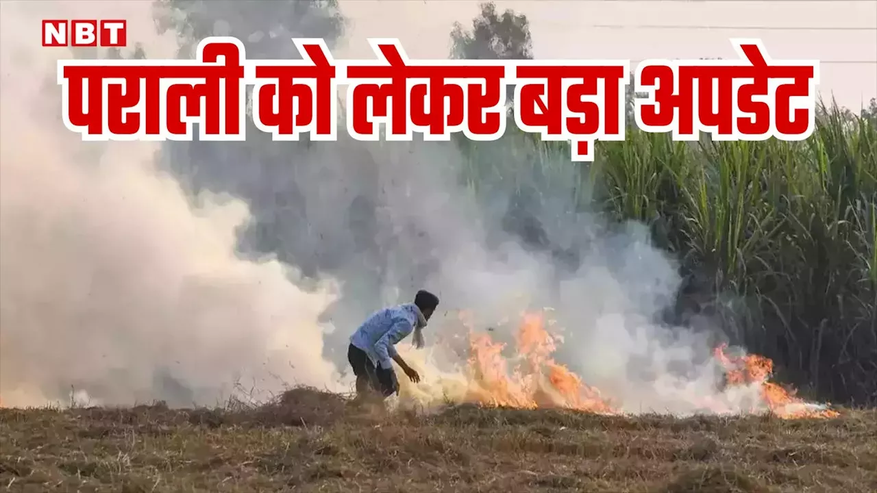 अब खेतों में नहीं लगेगी आग? पराली जलाने के मामलों में इस साल कैसे आई कमी जानिए