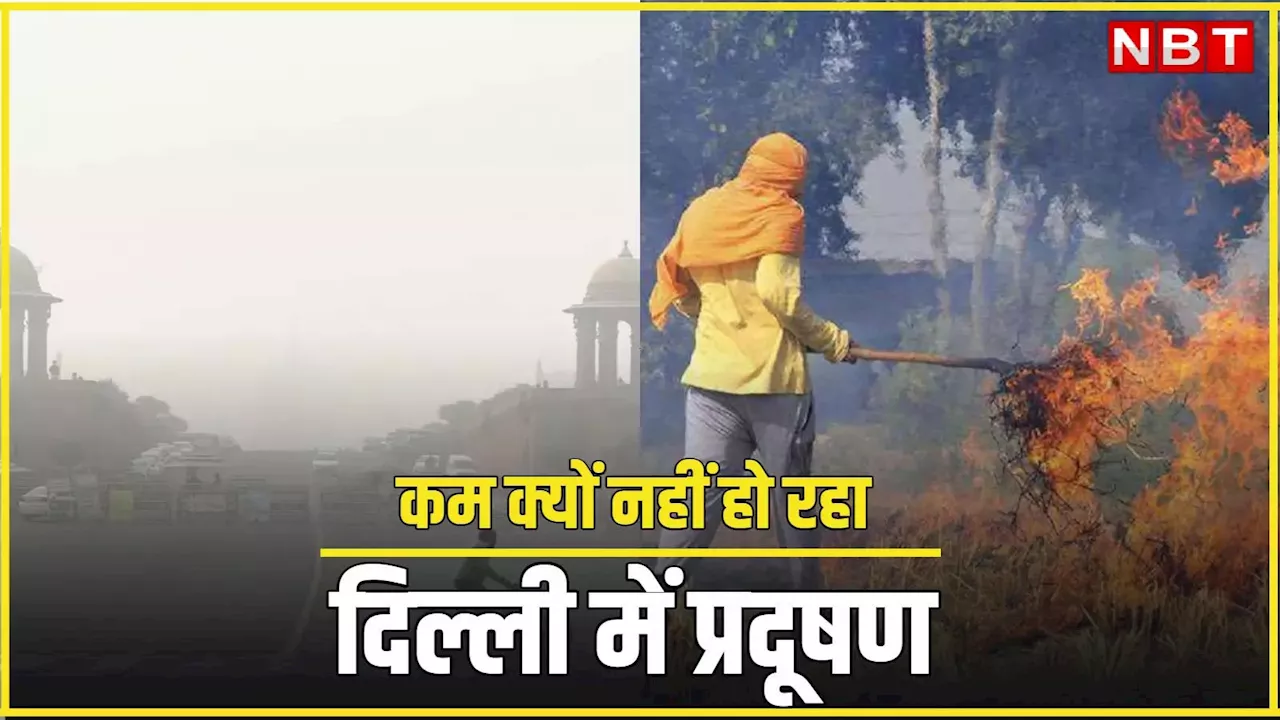 Delhi Pollution: इस साल सबसे कम जली पराली, फिर भी दिल्ली में प्रदूषण हाई, समझिए कैसे गैस चेंबर बन गई राजधानी