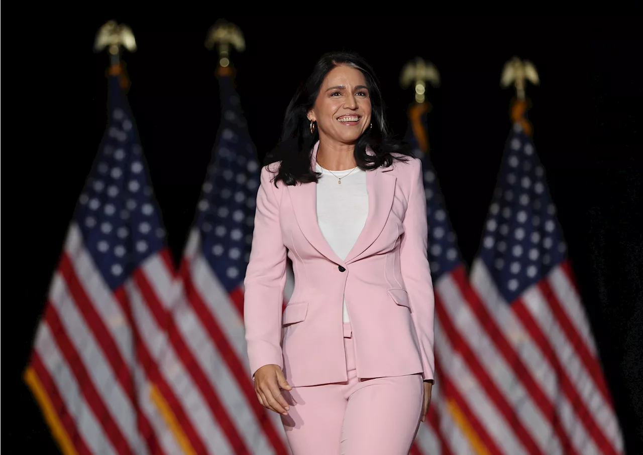 What Tulsi Gabbard Has Said About Syria's Assad as Insurgents Seize Aleppo