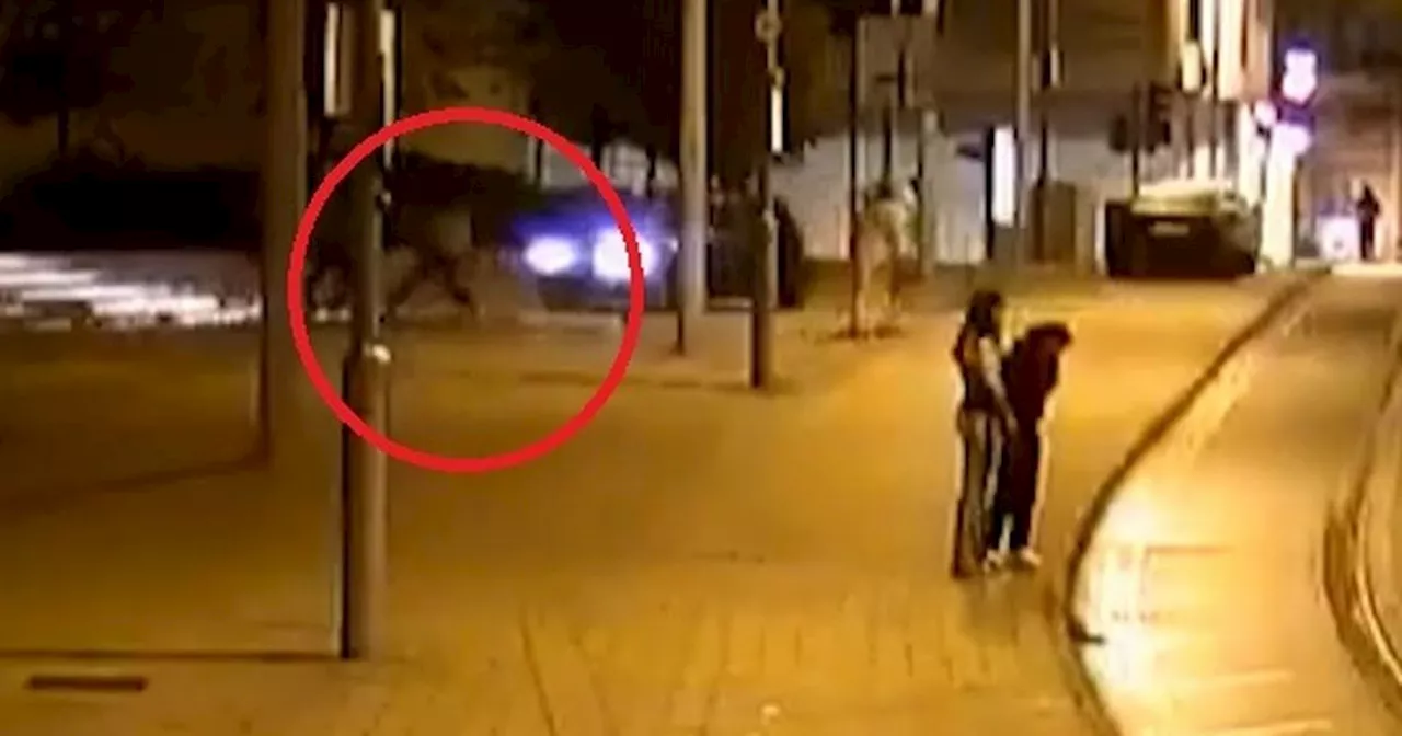 CCTV shows moment man deliberately ran over student after huge brawl