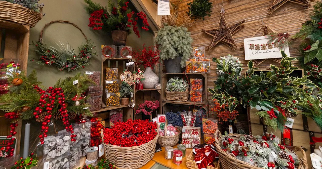 Nottinghamshire garden centres to visit at Christmas