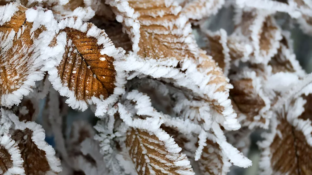 Baden-Württemberg: Frostiger erster Advent - Regen und Wolken zum Wochenstart