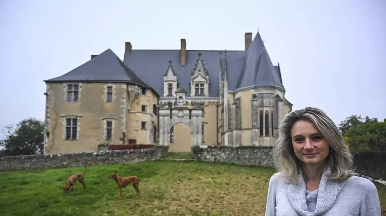 Ce château à vendre a vu passer Louis XIII, Duguesclin et Steve McQueen