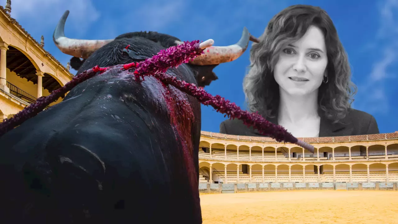 Isabel Díaz Ayuso Aumenta Presupuesto para Tauromaquia y Reduce Apoyo a Museos