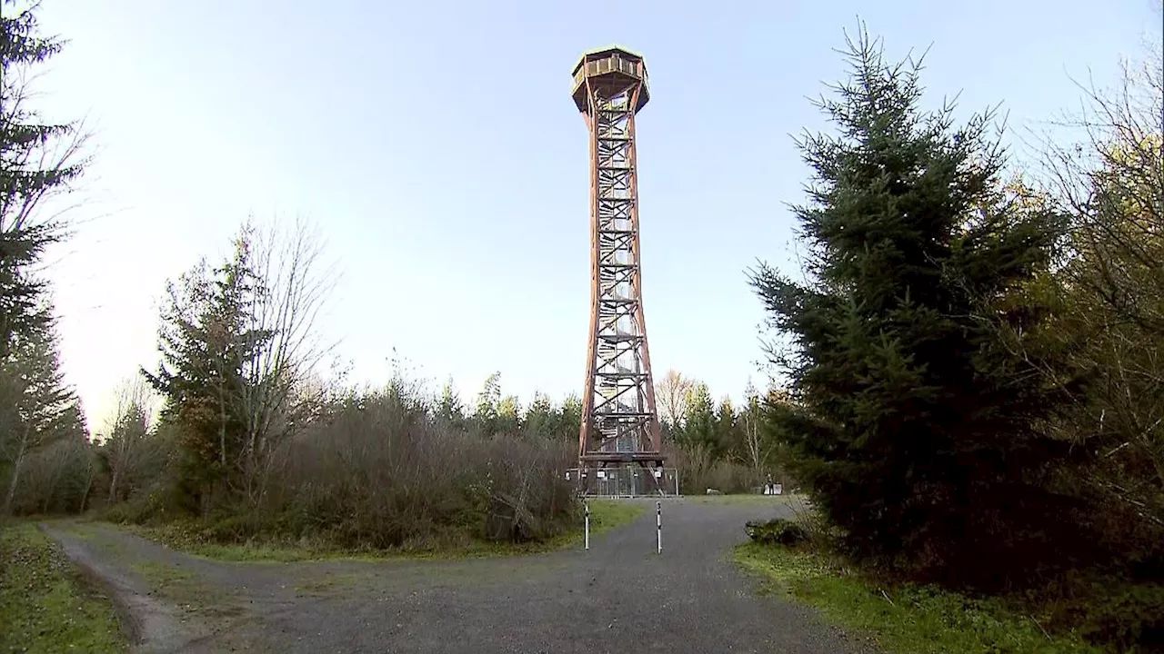 Drei Tote unter Aussichtsturm in Baden-Württemberg