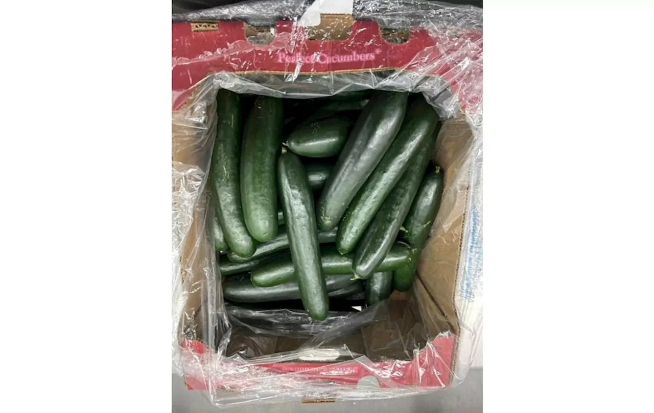 Cucumbers recalled after salmonella sickens people in 19 states, including Utah