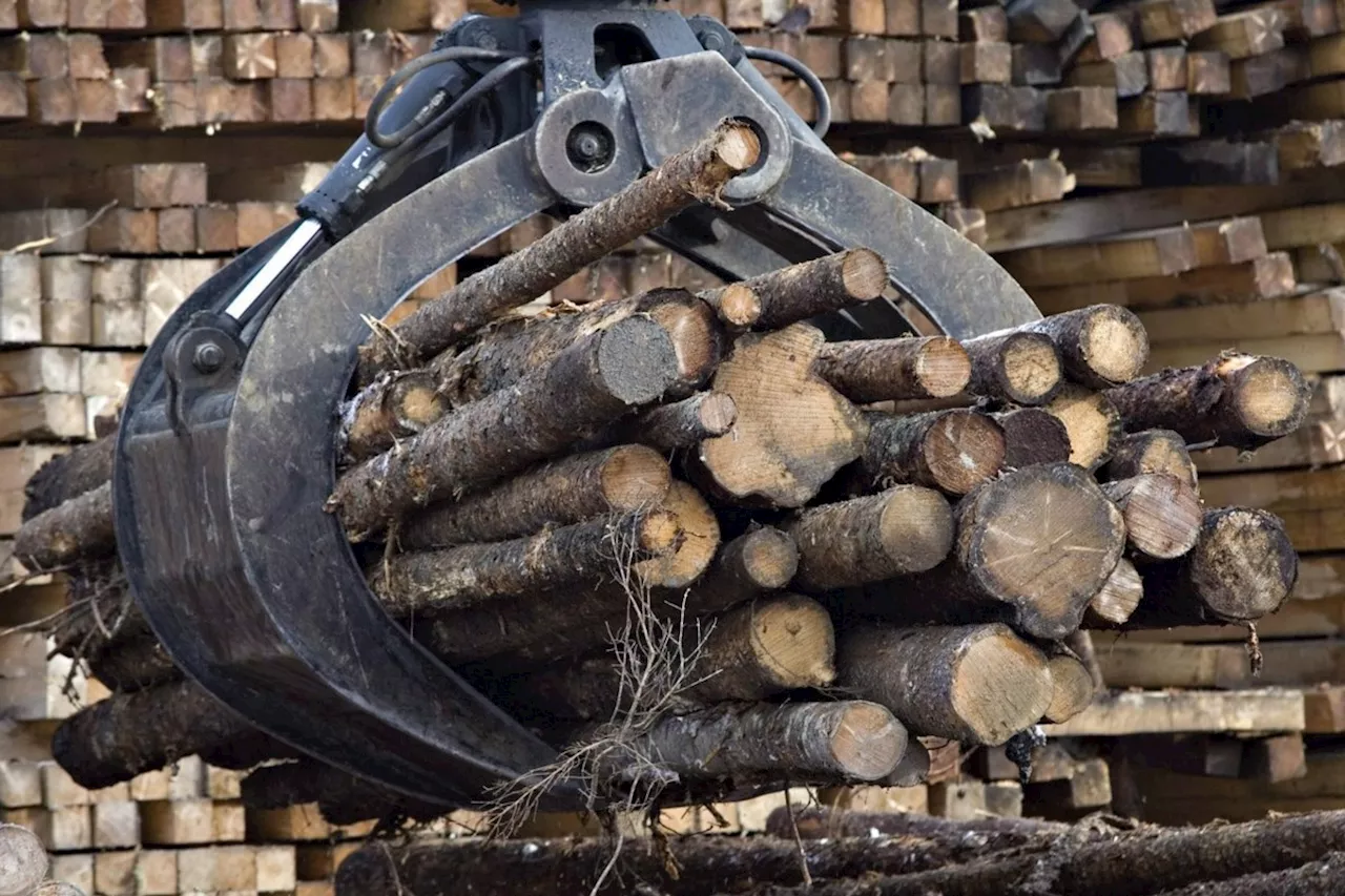 Quebec forest industry already under pressure amid Trump tariff threat: Legault