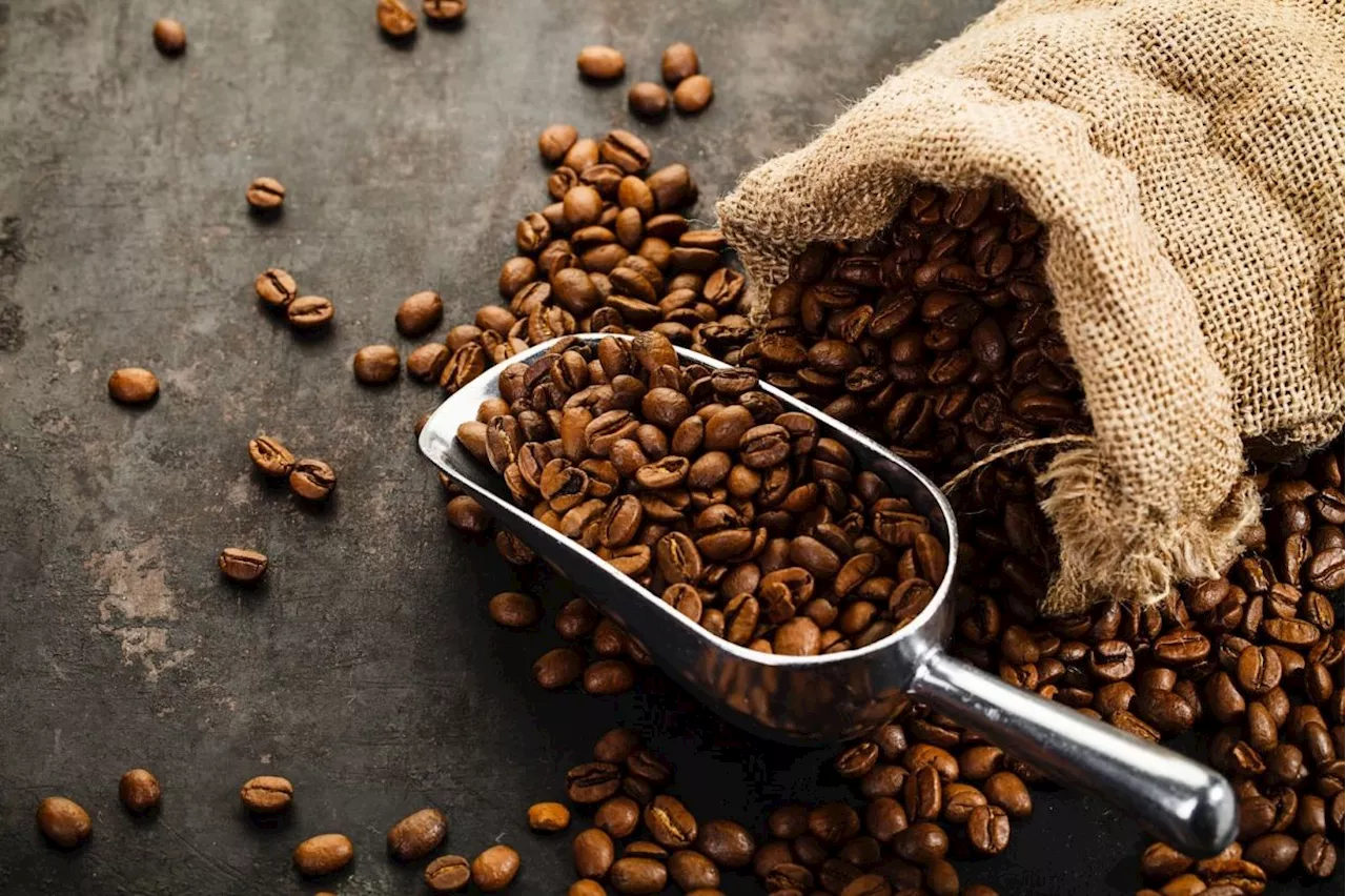 Coffee Prices May Rise 25 Percent in 2025 Due to Poor Harvests in Brazil and Vietnam