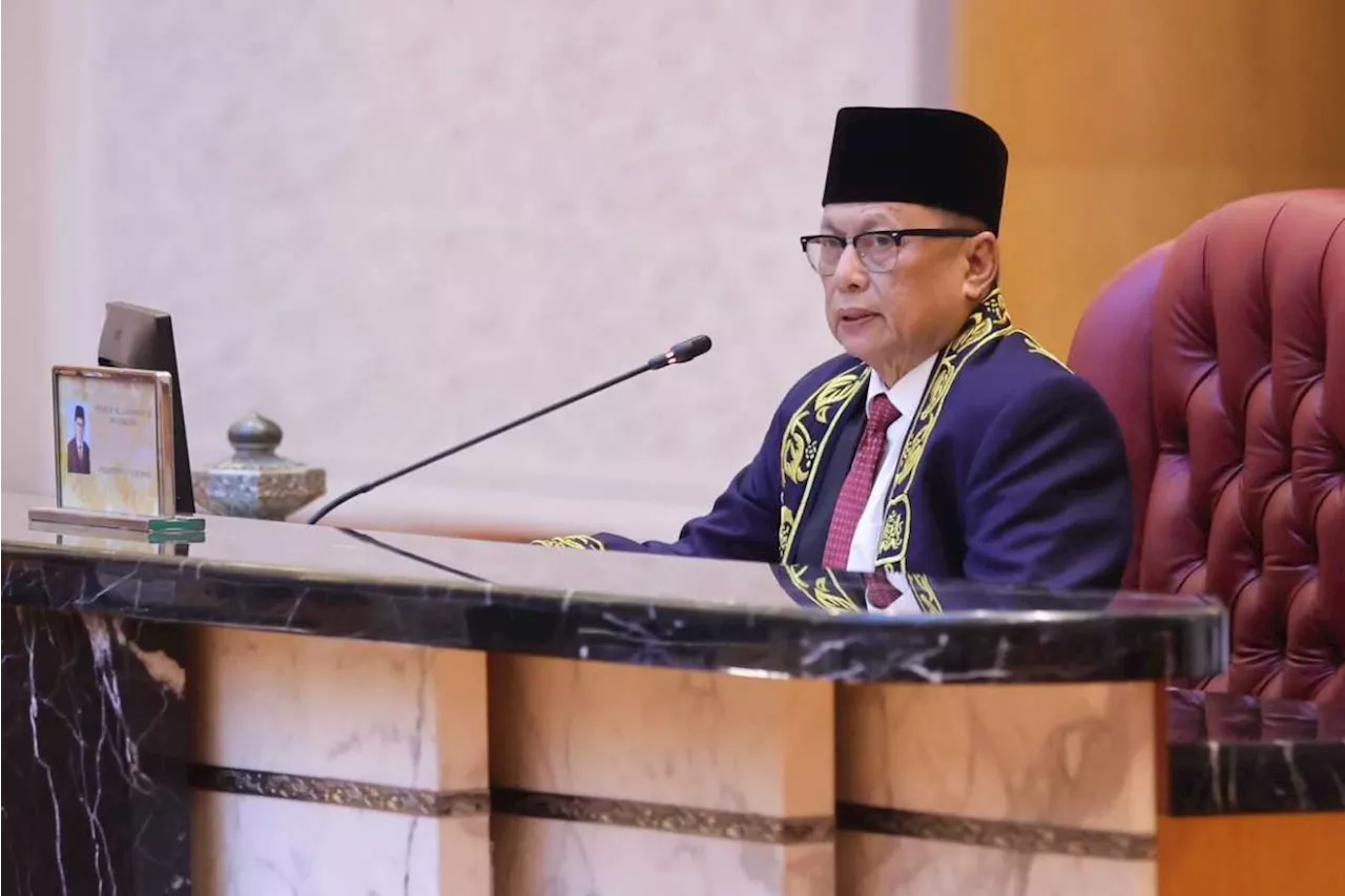 Johor assembly approves 2025 state budget