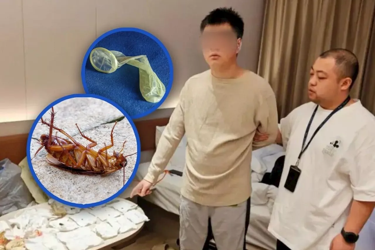 Man Scams Hotels With Dead Roaches And Dirty Condoms