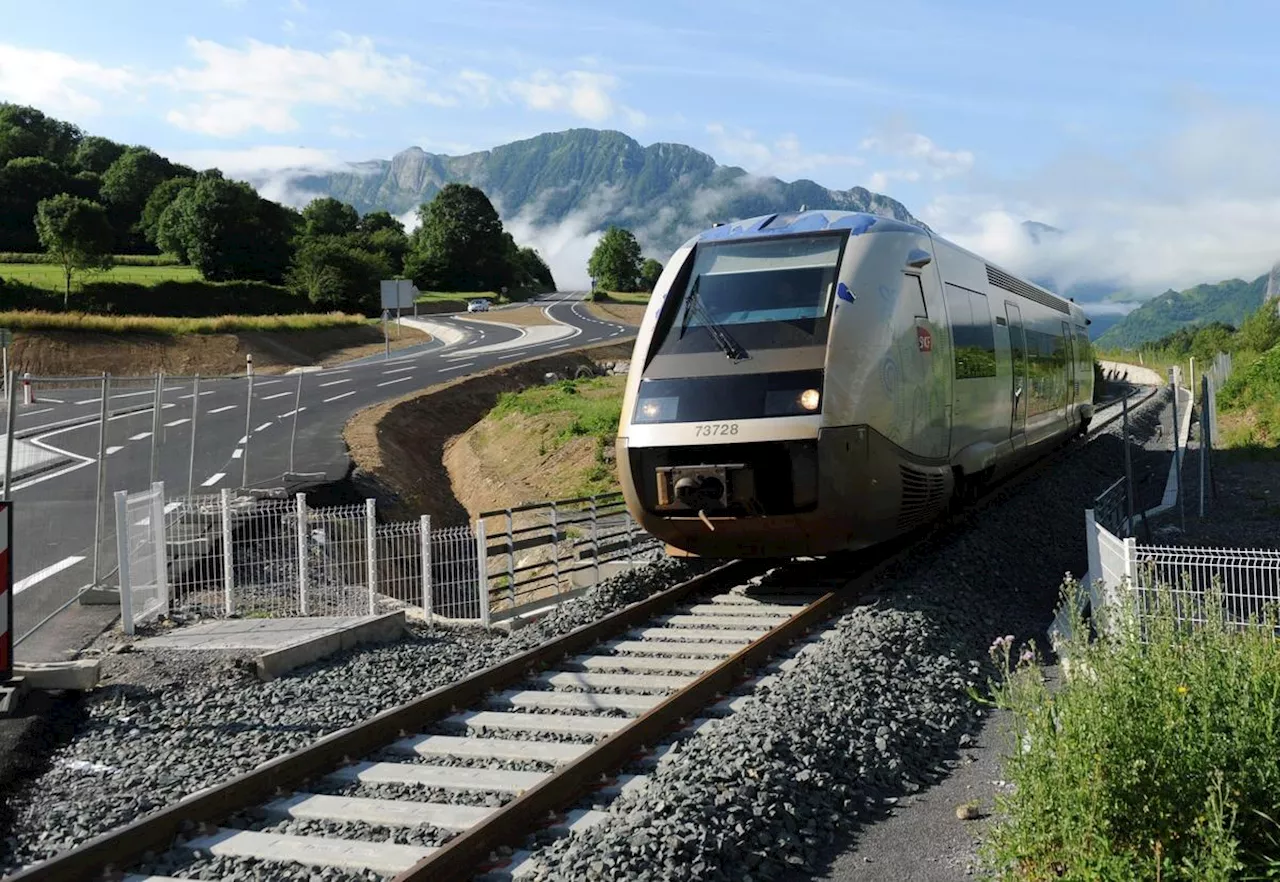 Béarn : un train reliant Pau à Oloron heurte un troupeau de vaches à Gan