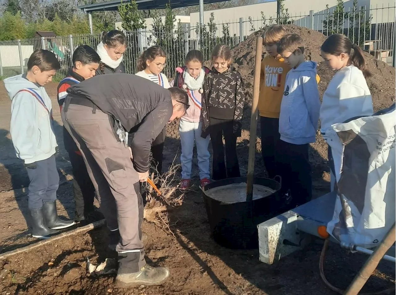 Izon : Avec l’aide des jeunes élus, 26 arbres fruitiers ont été plantés derrière le centre de loisirs