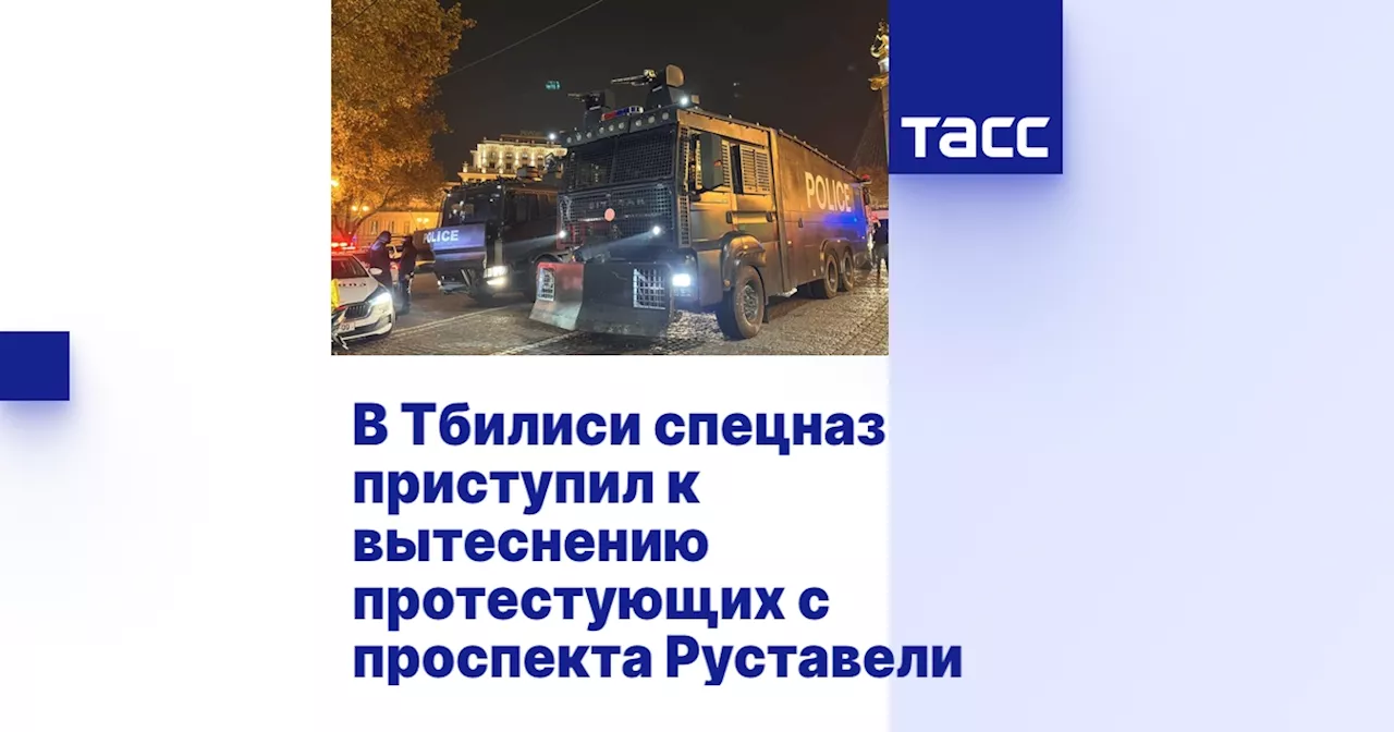 В Тбилиси спецназ приступил к вытеснению протестующих с проспекта Руставели