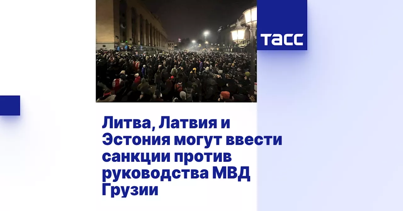 Литва, Латвия и Эстония могут ввести санкции против руководства МВД Грузии