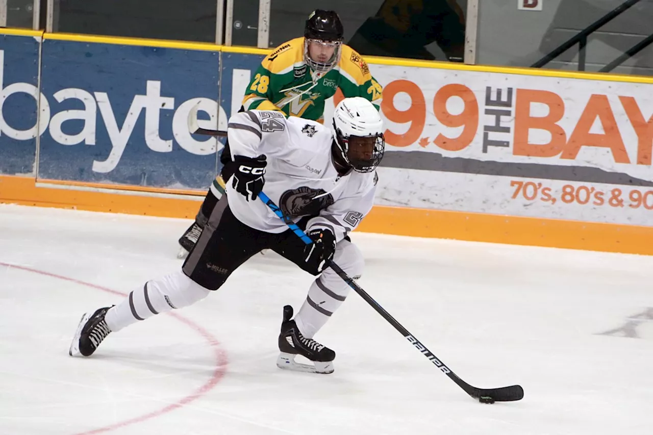 Evan Mayer's Overtime Goal Secures Ice Dogs Victory Over North Stars