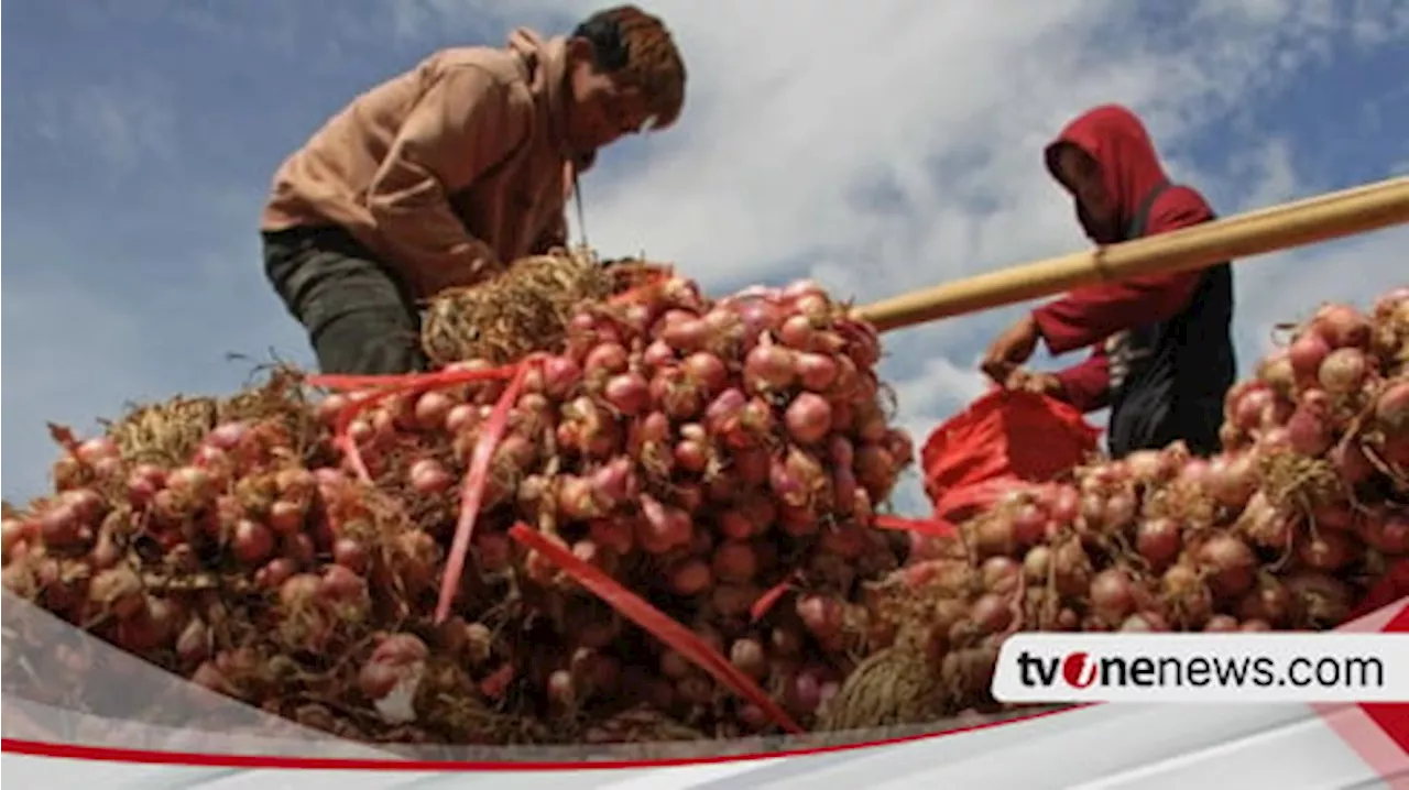 Harga Pangan Awal Desember Turun, Cabai Rawit Jadi Rp37.850 per kg