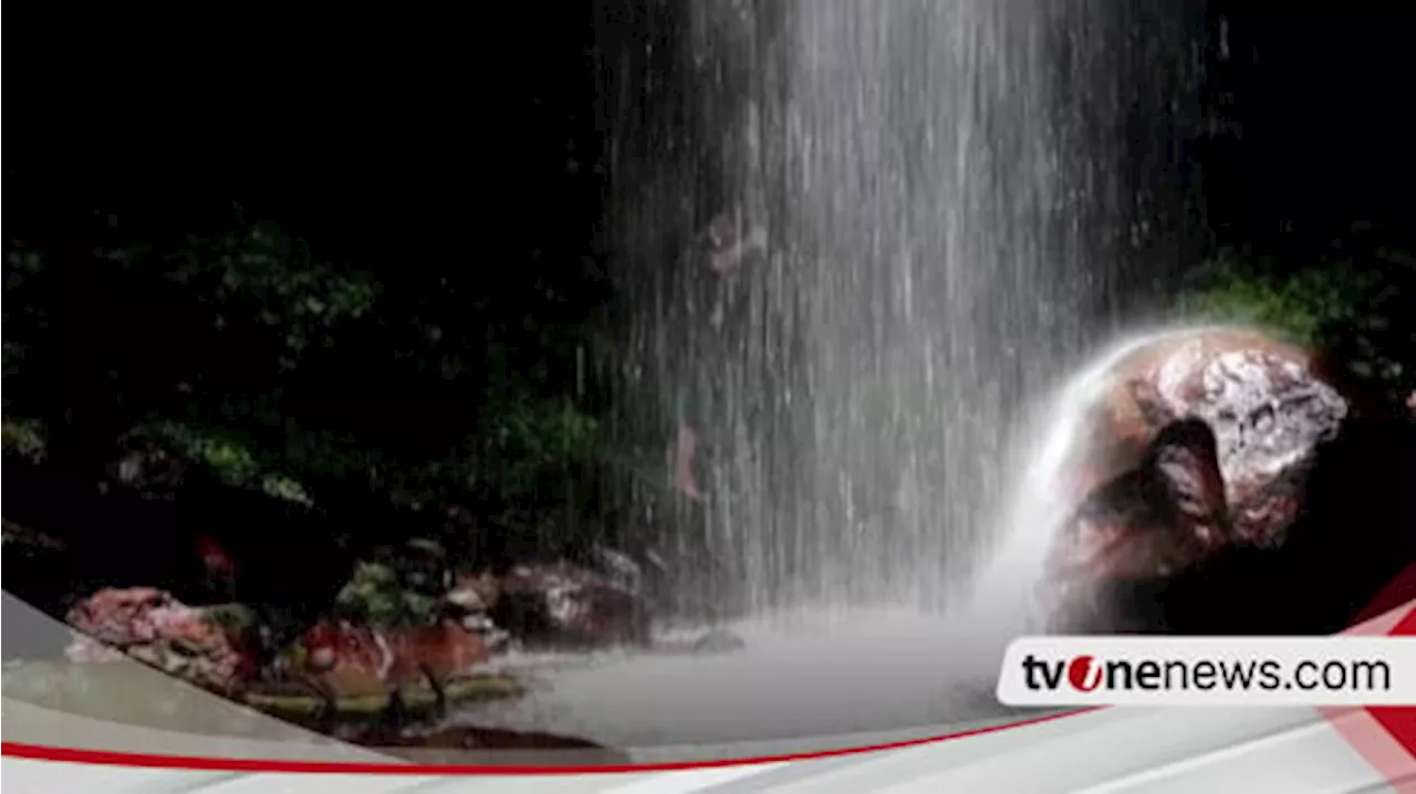 Surga Tersembunyi di Hutan Lampung Barat, Air Terjun Bidadari Menangis dan Pesona Kopi Robusta