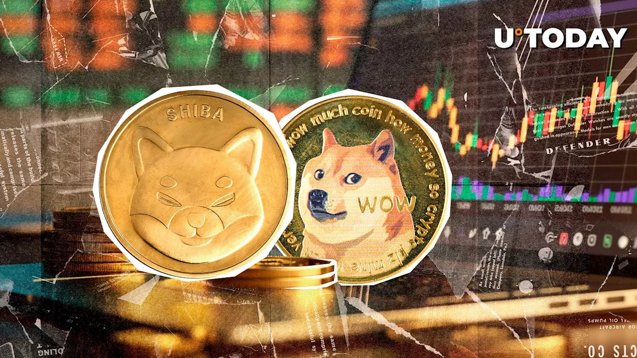 SHIB vs DOGE: Shiba Inu Closes Gap With 20% Price Explosion