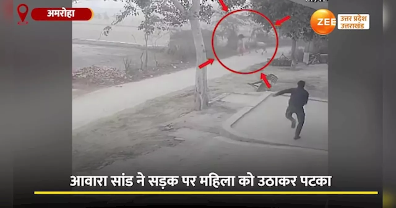 Bull Attack Video: सड़क पर जा रही थी महिला, पीछे से आया सांड, फिर जो किया खुद ही देखिए