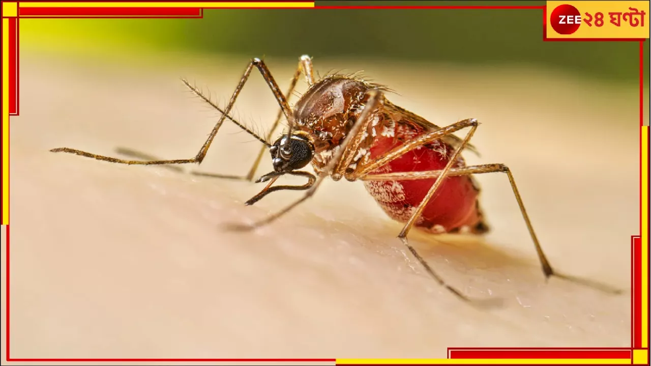 Dengue in West Bengal: ডেঙ্গি আক্রান্ত ২১ হাজার! এই শীতেও কেন মশাবাহিত রোগের এই প্রকোপ?