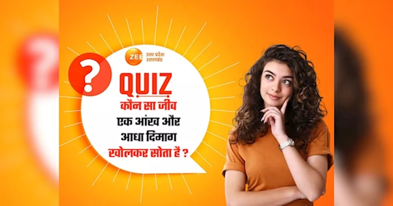 GK Quiz: कौन सा जीव एक आंख और आधा दिमाग खोलकर सोता है?