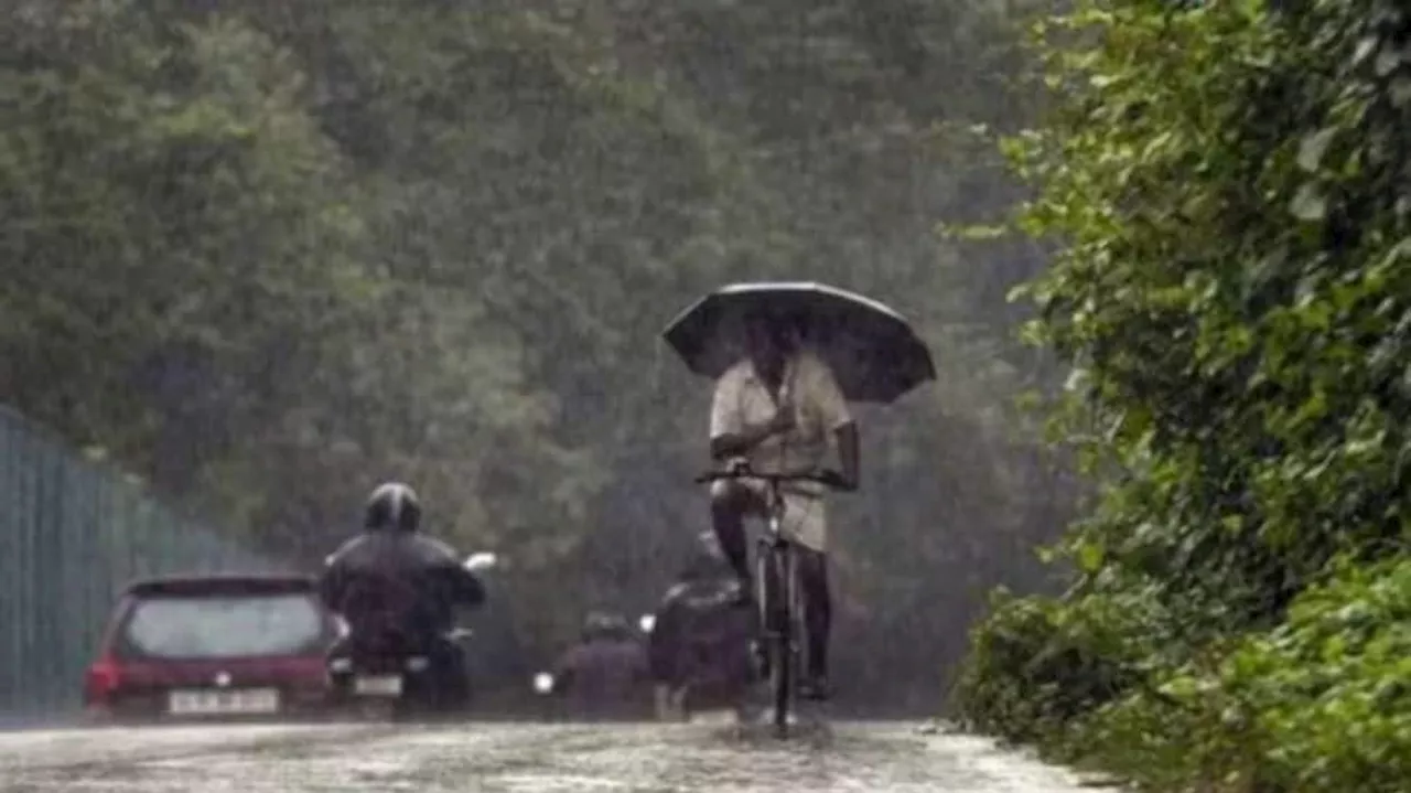 Kerala Rainfall: IMD Issues Red And Orange Alerts For December 2