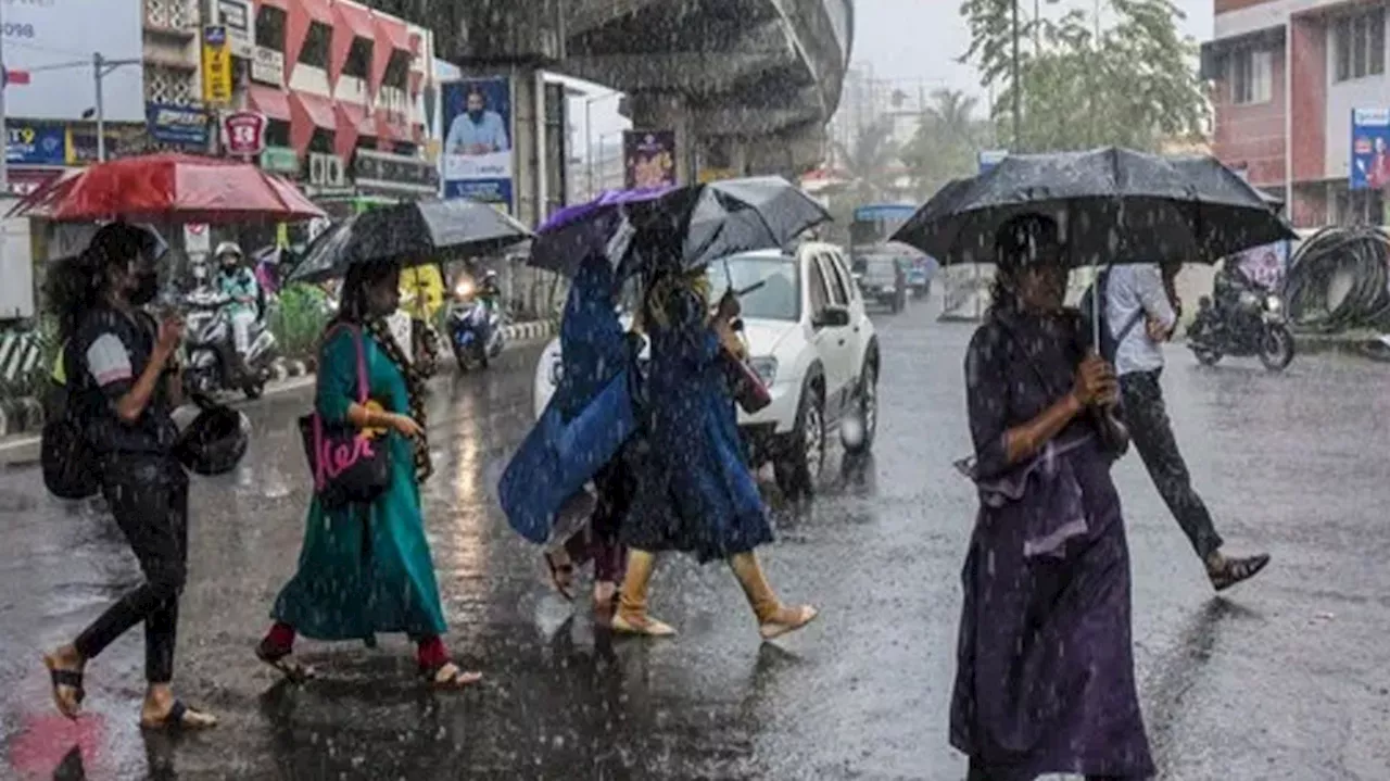 Kerala Rain Alerts: സംസ്ഥാനത്ത് ഇന്ന് മഴ കടുക്കും; 7 ജില്ലകളിൽ ഇന്ന് യെല്ലോ അലർട്ട്!