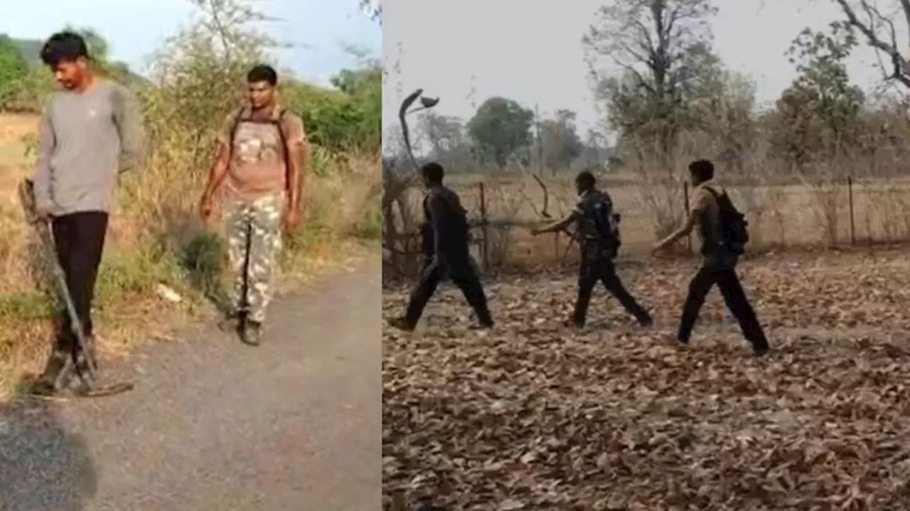 Maoists Killed: ములుగులో భారీ ఎన్‌కౌంటర్‌.. ఏడుగురు మావోయిస్టుల హతం..