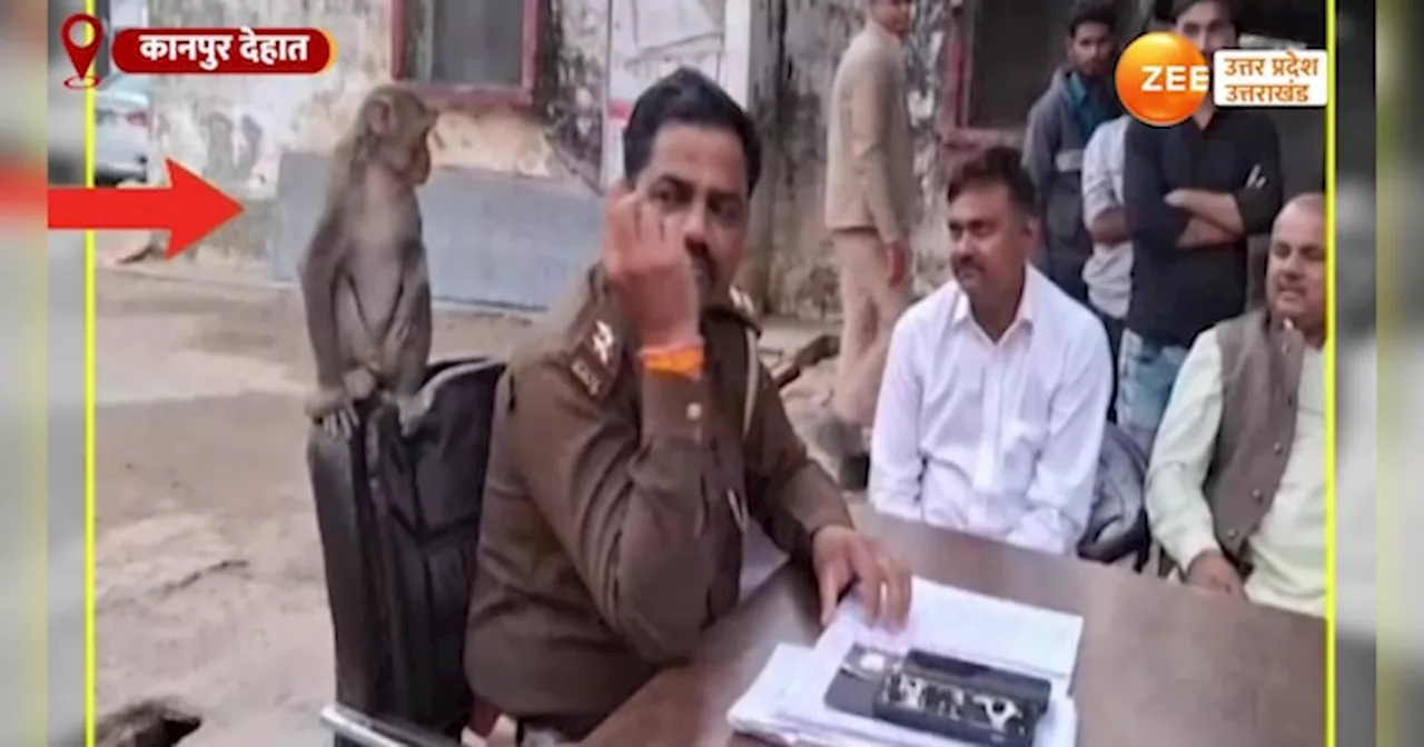 Video: अनोखी है थाना प्रभारी और बंदर की दोस्ती, पुलिस संग अठखेलिया करते मंकी का वीडियो