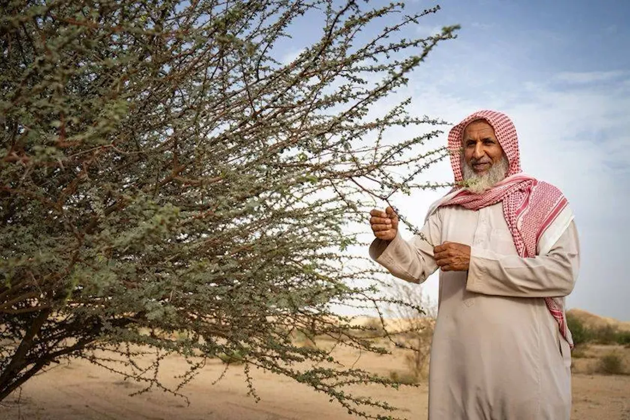 «فاو»: شح التمويل والنزاعات يهددان الأمن الغذائي في الشرق الأوسط