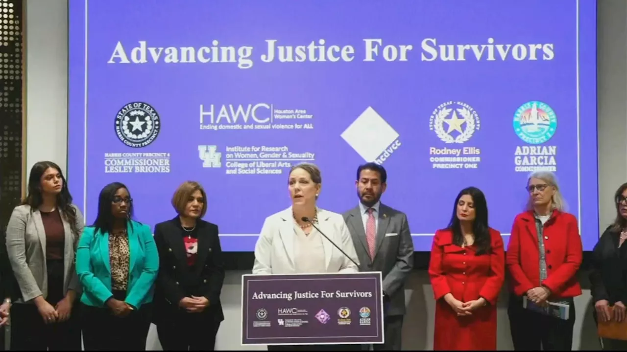 Harris County leaders unanimously approve $4M to expand resources for survivors of domestic violence