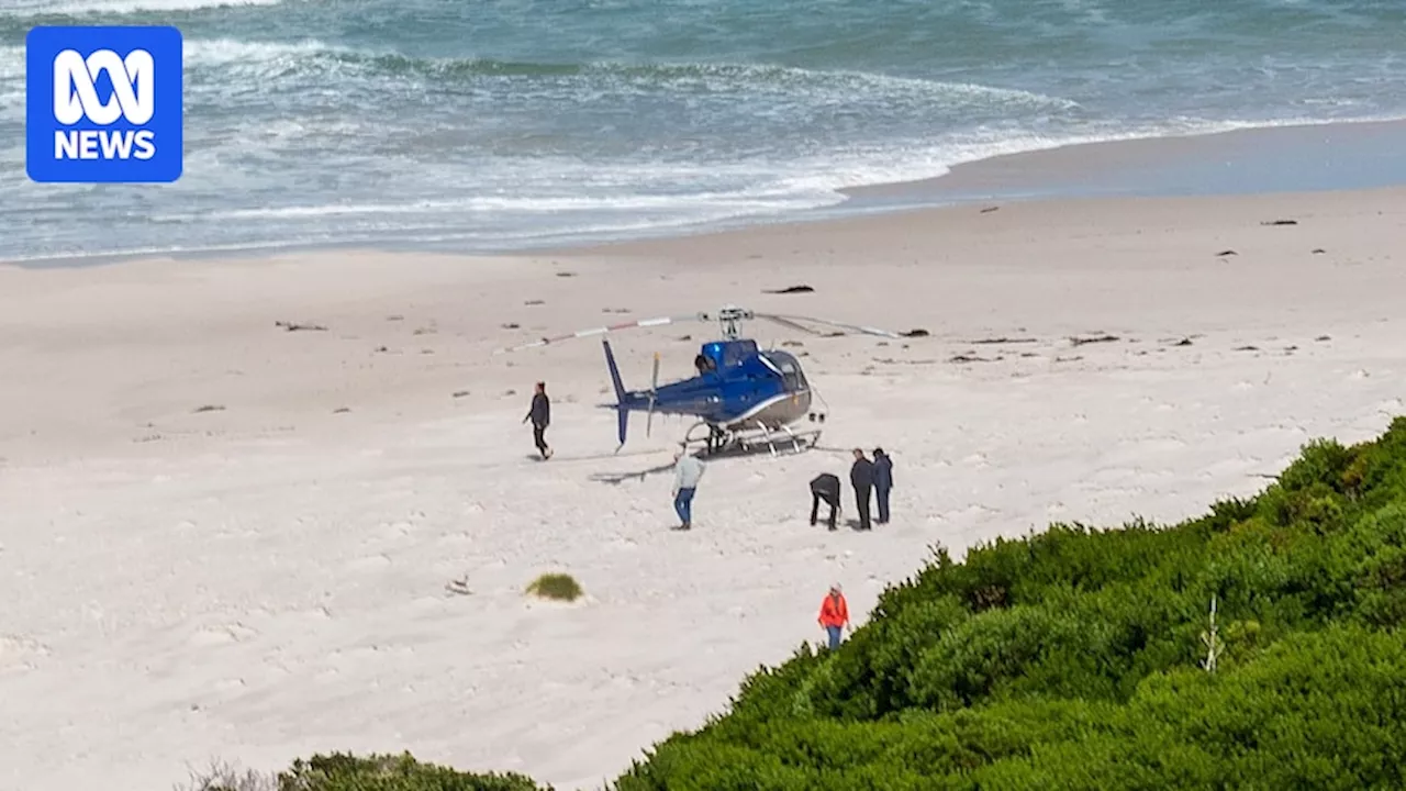 'Helicopter safari' at Tasmanian wilderness beach sparked confusion, investigations, documents show